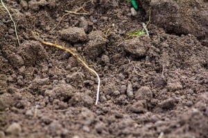 Dudutech - Solutions - Soil Health