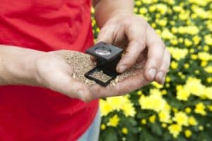 The key objectives of Integrated Pest Management (IPM) IPM are economic viability, social acceptability and minimal risk to human health and the environment.